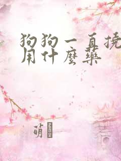 狗狗一直挠痒痒用什么药