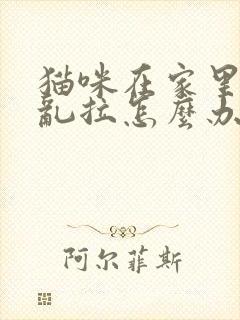 猫咪在家里乱尿乱拉怎么办