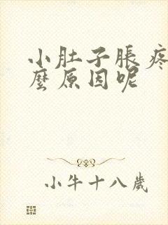 小肚子胀疼是什么原因呢