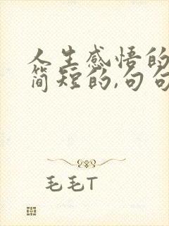 人生感悟的句子简短的,句句精辟现实