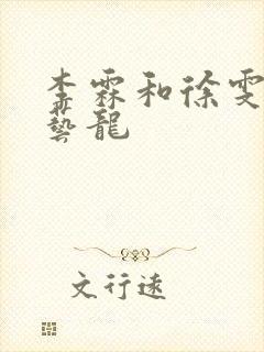 李霖和徐雯,徐艺龙