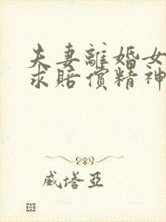 夫妻离婚女方要求赔偿精神损失费