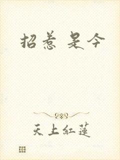 招惹 是今