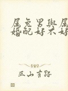 属兔男与属马女婚配好不好