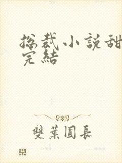 总裁小说甜宠文完结