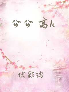 公公 高h