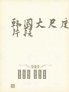 韩国大尺度床戏片段