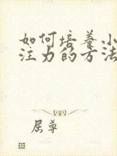 如何培养小孩专注力的方法