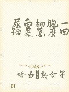 尿白细胞一个加号是怎么回事