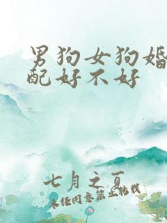 男狗女狗婚姻相配好不好