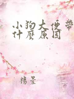 小狗大便带血是什么原因