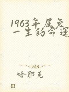 1963年属兔一生的命运怎么样