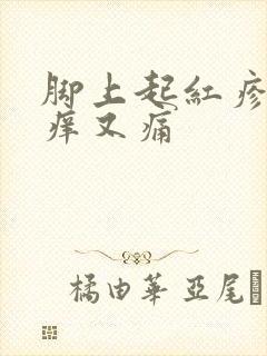 脚上起红疹子又痒又痛