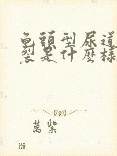 龟头型尿道口下裂是什么样子的