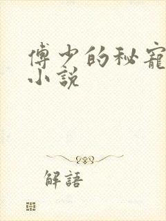 傅少的秘宠娇妻小说