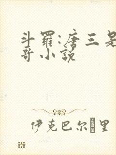 斗罗:唐三是我哥小说