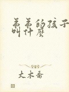 弟弟的孩子叫我叫什么