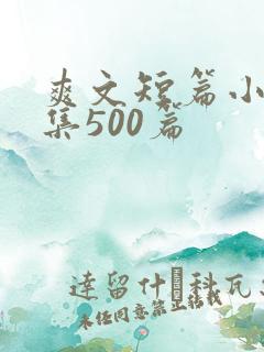 爽文短篇小说合集500篇