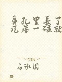 鼻孔里长了一个疙瘩一碰就疼