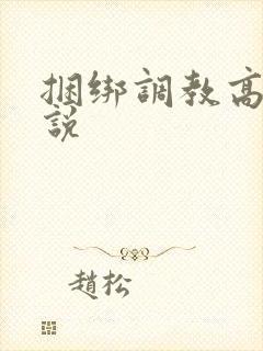 捆绑调教高潮小说