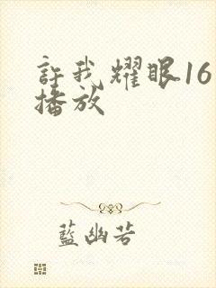 许我耀眼16集播放