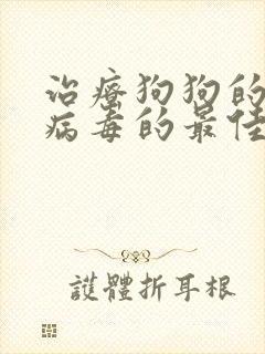 治疗狗狗的细小病毒的最佳药