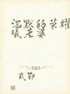 沉默的荣耀中聂曦老婆