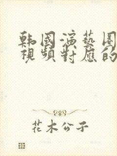 韩国演艺圈事件视频对应的人