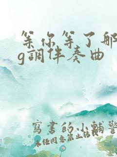 等你等了那么久g调伴奏曲