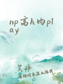 np高h肉play