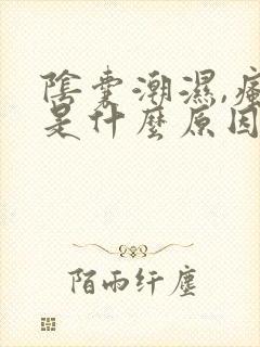 阴囊潮湿,瘙痒是什么原因造成的