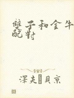 双子和金牛配不配对