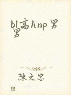 bl高hnp男男