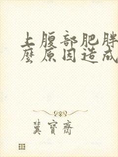 上腹部肥胖是什么原因造成的