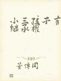 小三孩子有没有继承权