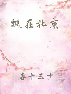 飘在北京