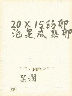 20×15的卵泡是成熟卵泡吗