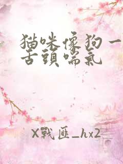 猫咪像狗一样伸舌头喘气