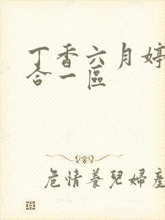 丁香六月婷婷综合一区