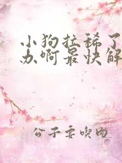 小狗拉稀了怎么办啊最快解决