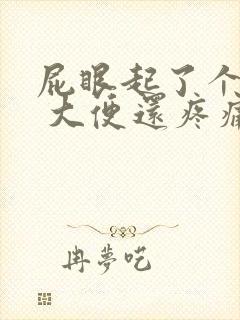 屁眼起了个肉球 大便还疼痛