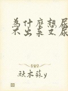 为什么想尿又尿不出来又尿血