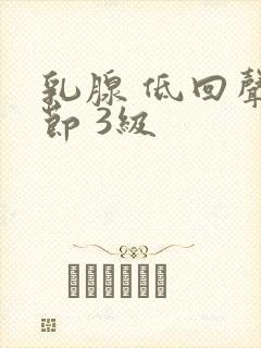 乳腺 低回声结节 3级