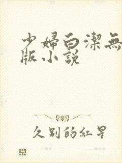 少妇白洁无删减版小说