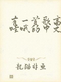 有一首歌高潮是哇哦的中文歌