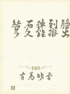 结石掉到膀胱后多久能排出