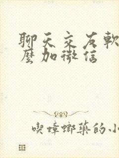 聊天交友软件怎么加微信