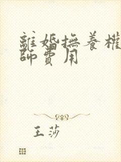 离婚抚养权请律师费用