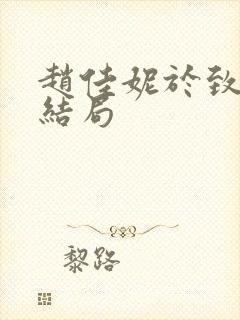 赵佳妮于致远大结局