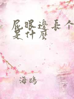 屁眼边长个肉球是什么